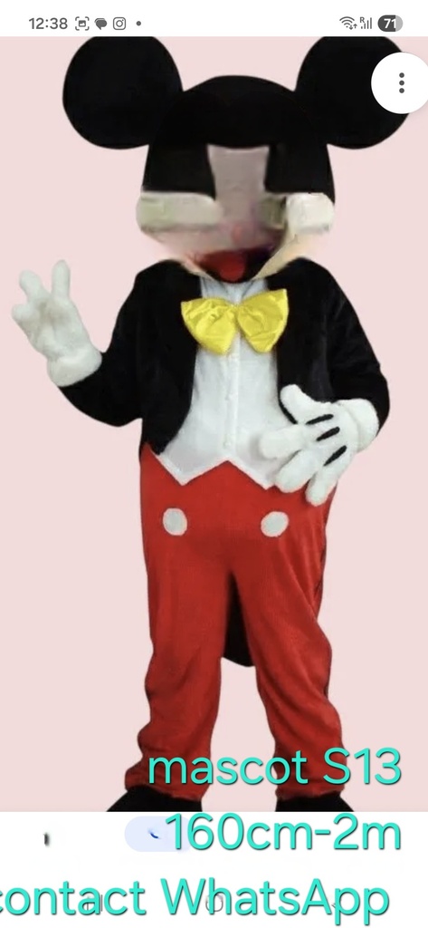Mascotte personnage