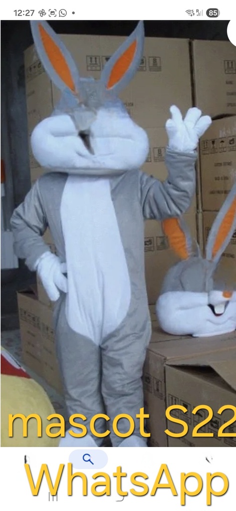 Mascotte personnage