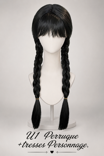 Perruque avec tresse personnage